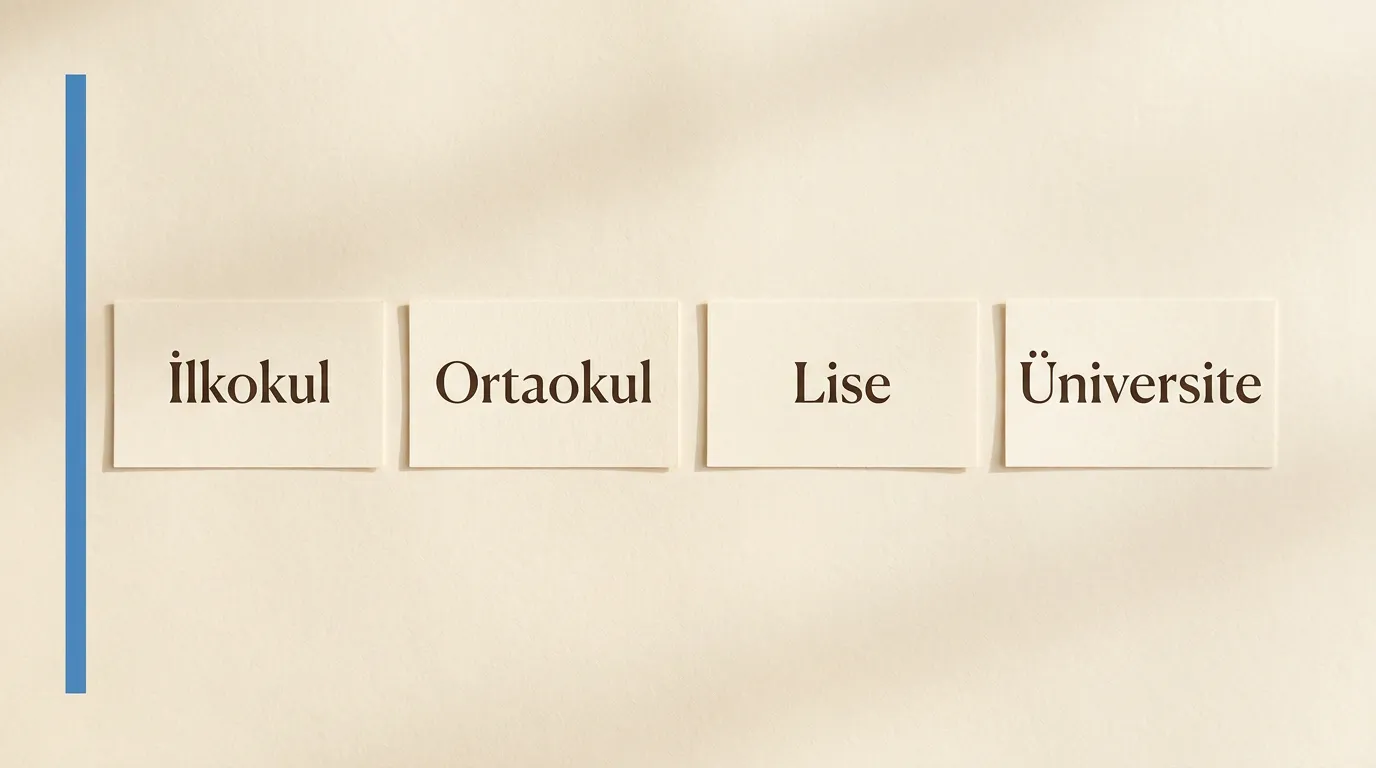 İlkokul, ortaokul, lise ve üniversite